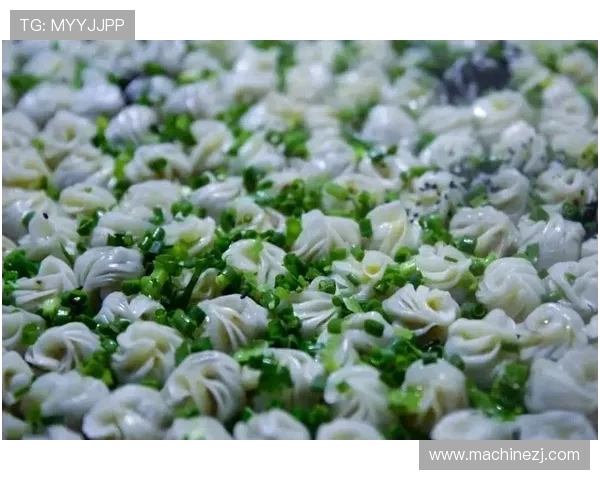 探索跳水运动技巧魅力与世界冠军成长励志历程深度解析全景展现录